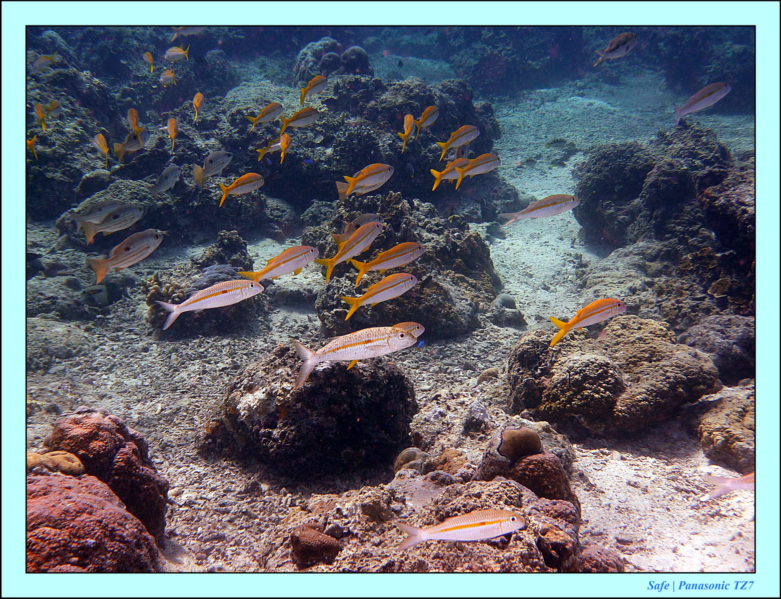 2012 - 07 - Gili - 56